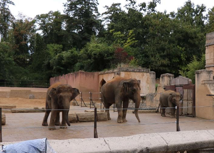 Ein Besuch im Zoo … oh oh oh oh …