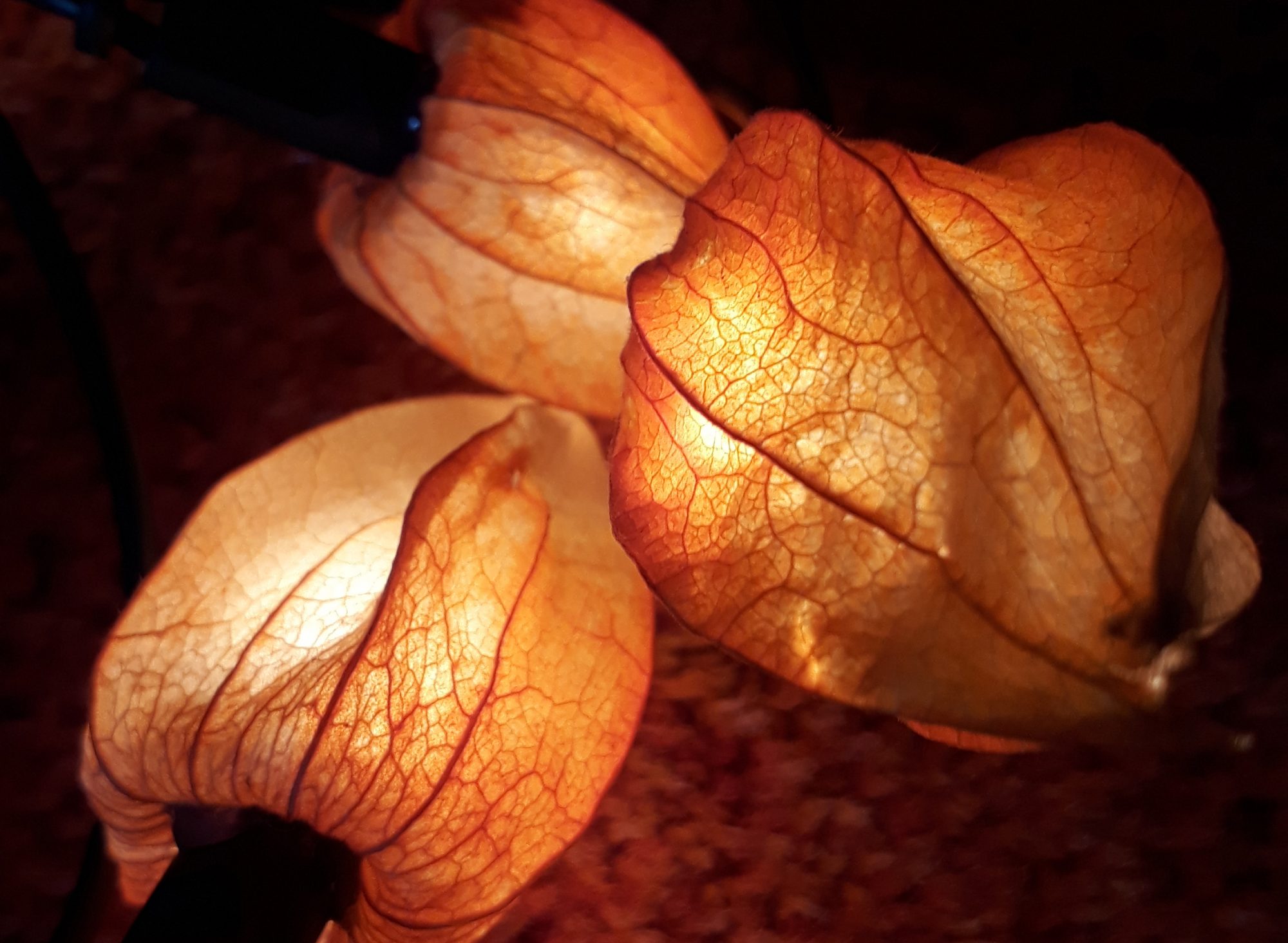Licht im Dunkeln