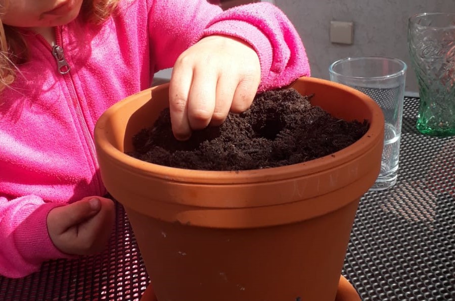 Blumensamen als Hoffnungszeichen und zur Erinnerung an die, die wir vermissen!