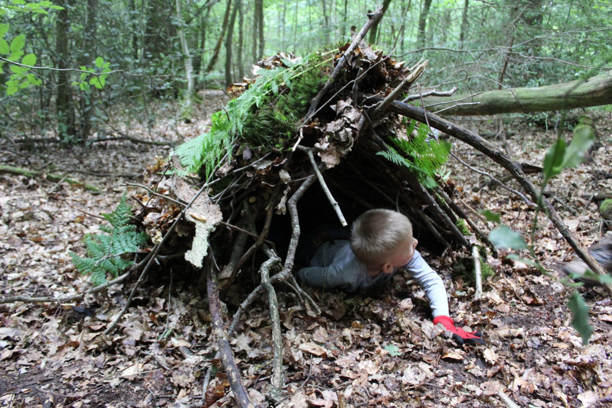 Geborgenheit in der Natur