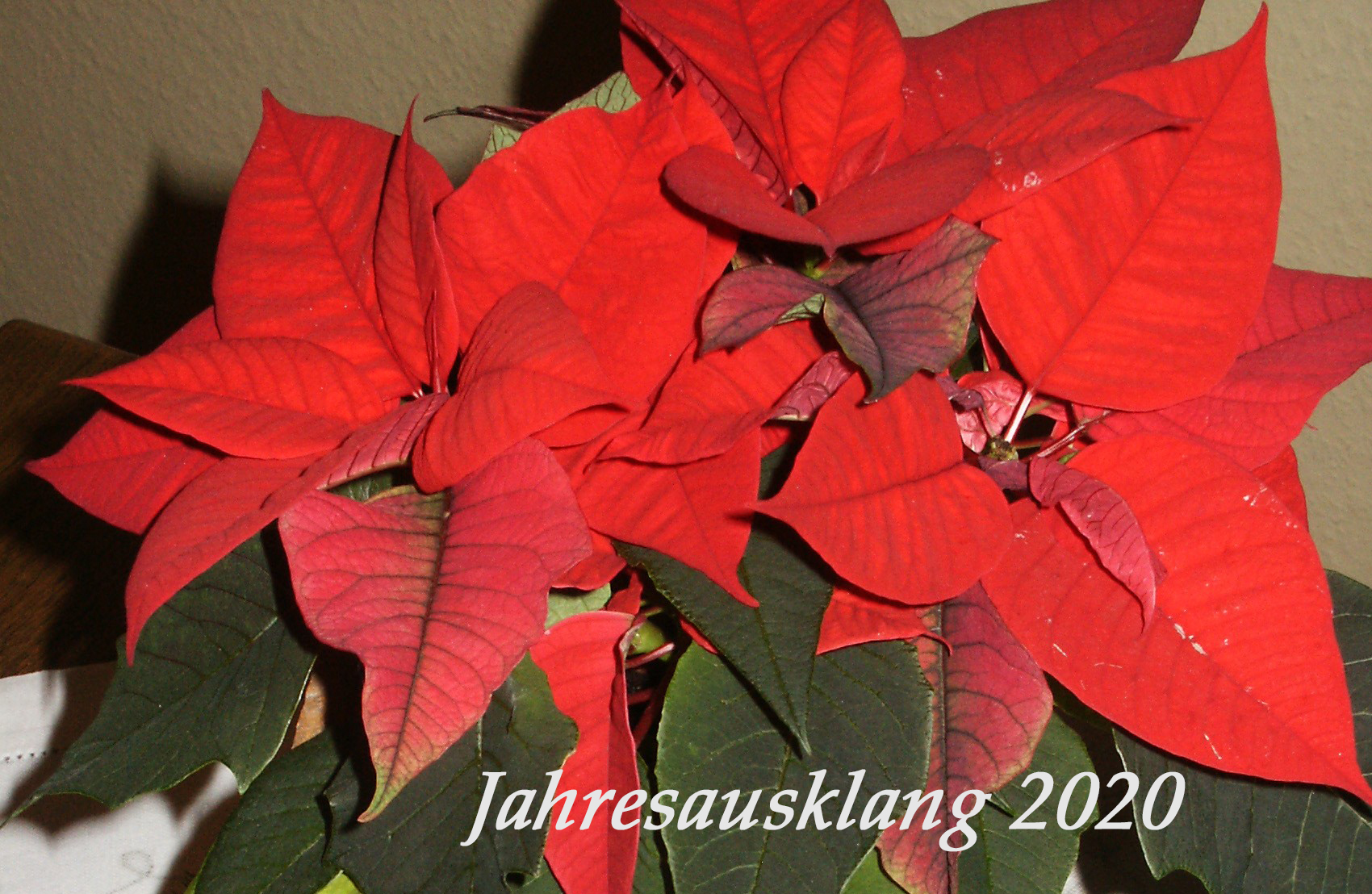 Frohe Weihnachten