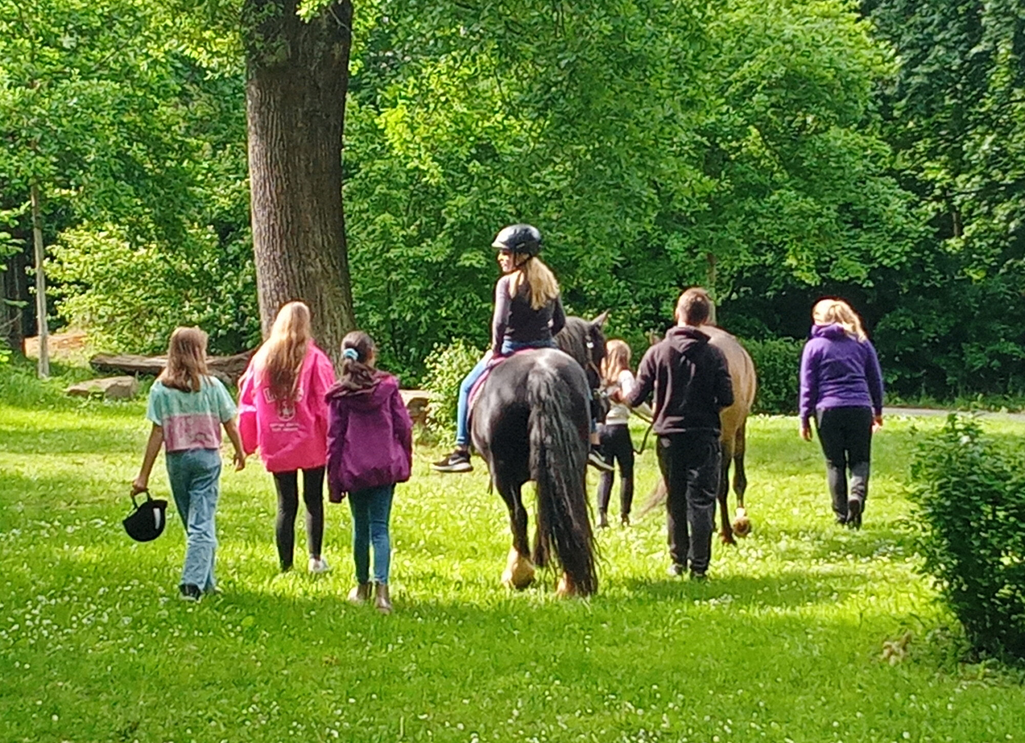 Pferde zu Besuch im Fuchsbau