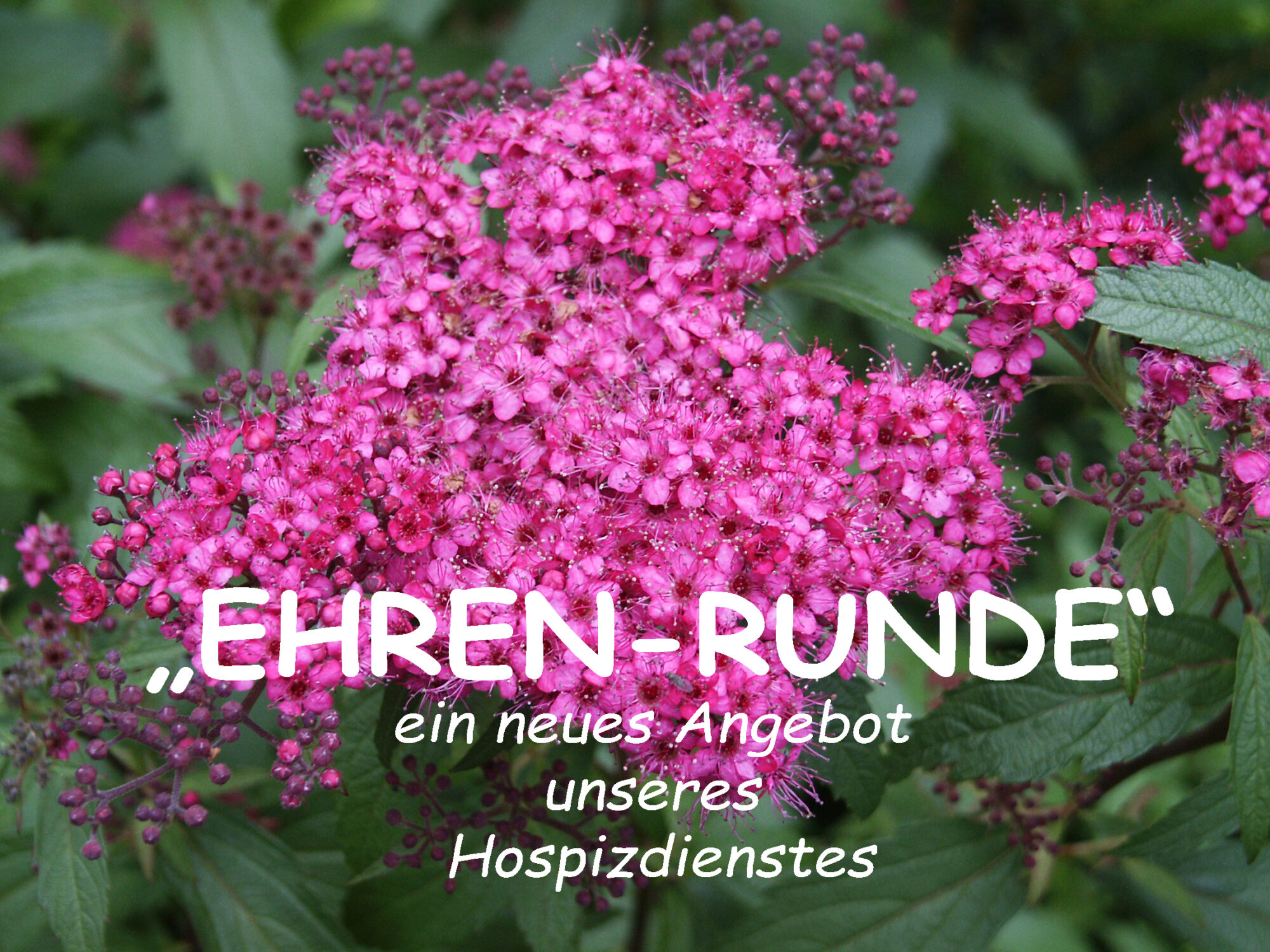 „Ehren- Runde“ … ein neues Angebot unseres Hospizdienstes!